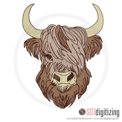 3 HIGHLAND COW : Highland Cow