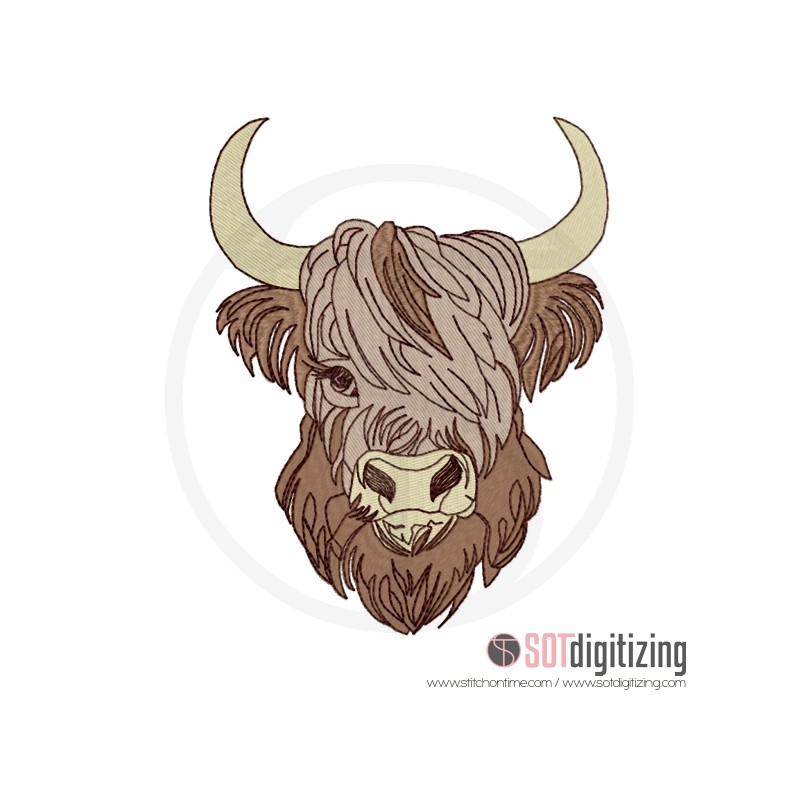 3 HIGHLAND COW : Highland Cow